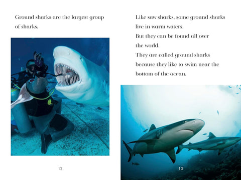 PYR L4: TIME for Kids - Sharks - MPHOnline.com