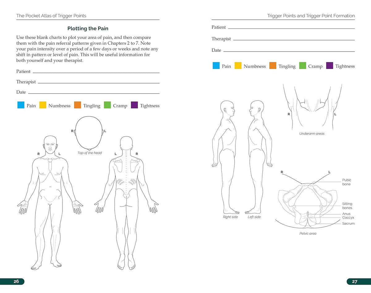 The Pocket Atlas of Trigger Points: A User-Friendly Guide to Muscle An ...