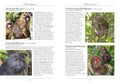 A Naturalist's Guide to the Mammals of India, 2E - MPHOnline.com