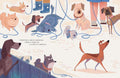 Stray - MPHOnline.com