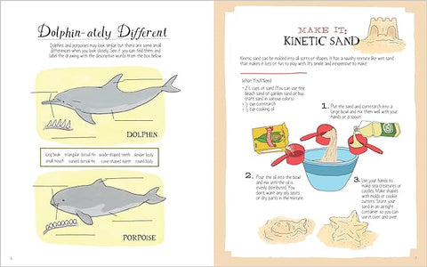 Julia Rothman's Ocean Anatomy Activity Book - MPHOnline.com