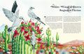 Made for Each Other - MPHOnline.com