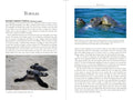 Galapagos Wildlife (Bradt Wildlife Guides) - MPHOnline.com