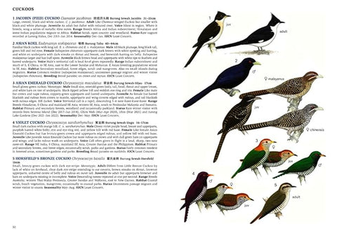 A Field Guide to the Birds of Singapore - MPHOnline.com