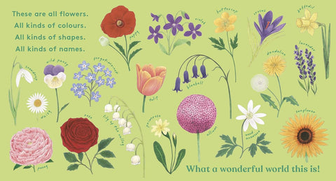 Look! A Flower! - MPHOnline.com