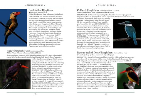 A Naturalist's Guide to the Birds of Borneo, 4Ed - MPHOnline.com