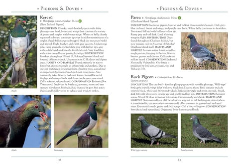 A Naturalist's Guide to the Birds of New Zealand, 2nd Edition - MPHOnline.com