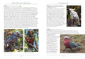 A Naturalist's Guide to the Birds of New Zealand, 2nd Edition - MPHOnline.com