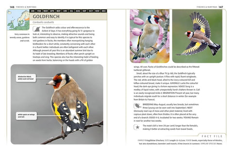 An Identification Guide To Garden Birds Of Britain and North-West Europe - MPHOnline.com