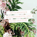 Flowers for All : Modern Floral Arrangements for Beauty, Joy, and Mindfulness Every Day - MPHOnline.com