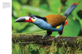 Tropical Birds - MPHOnline.com