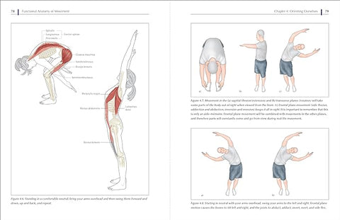 Functional Anatomy of Movement: An Illustrated Guide to Joint Movement, Soft Tissue Control, and Myofascial Anatomy - MPHOnline.com