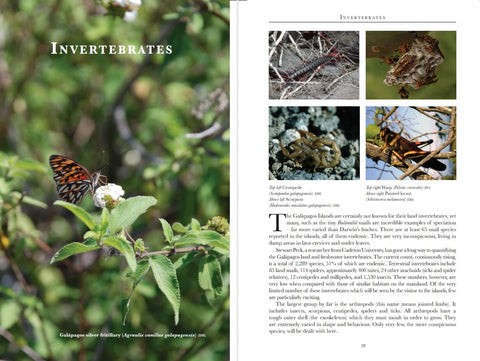 Galapagos Wildlife (Bradt Wildlife Guides) - MPHOnline.com