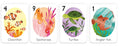 Flash Card Gift Set - Go Fish - MPHOnline.com