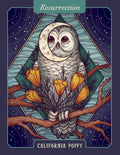 The Illustrated Herbiary Oracle Cards: 36-Card Deck of Bewitching Botanicals - MPHOnline.com