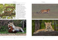 A Naturalist's Guide to the Mammals of India, 2E - MPHOnline.com