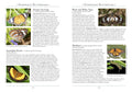 A Naturalist's Guide to the Insects of Australia, 2E - MPHOnline.com