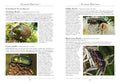 A Naturalist's Guide to the Insects of Australia, 2E - MPHOnline.com