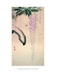 In a Japanese Garden Coloring Book: With Reflections from Lafcadio Hearn's 'In a Japanese Garden - MPHOnline.com