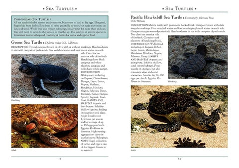 A Naturalist's Guide to the Reptiles of the Philippines - MPHOnline.com