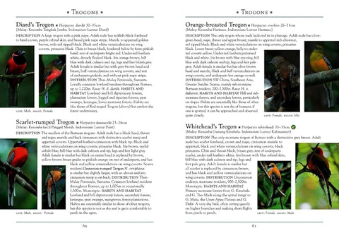 A Naturalist's Guide to the Birds of Borneo, 4Ed - MPHOnline.com