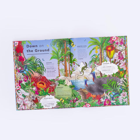 The Fantastical Safari (HC)