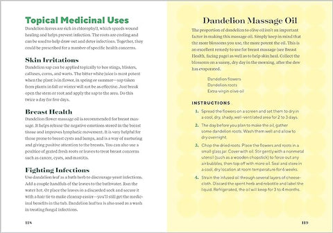 Dandelion Medicine, 2nd Edition: Forage, Feast, and Nourish Yourself with This Extraordinary Weed - MPHOnline.com