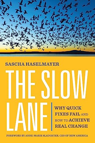 The Slow Lane: Why Quick Fixes Fail and How to Achieve Real Change - MPHOnline.com