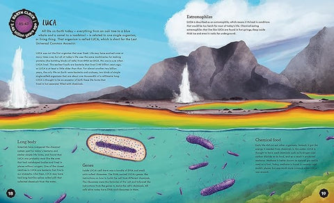 Earth Clock: The History of Our Planet in 24 Hours - MPHOnline.com