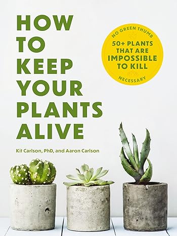 How to Keep Your Plants Alive: 50 Plants That Are Impossible to Kill - MPHOnline.com