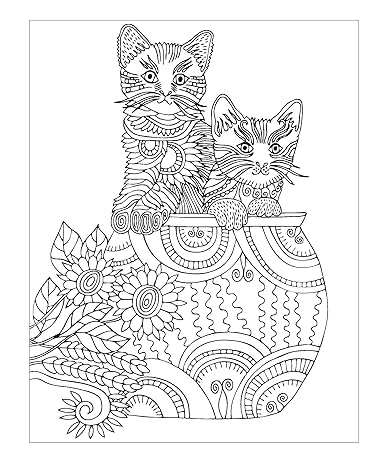 The Kittens Colouring Book Cosy Up With These Adorable Furry Felines - MPHOnline.com