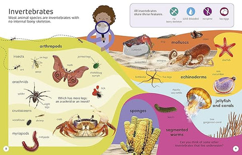 1000 Animal Words - MPHOnline.com