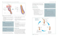 Anatomy Physiology & Pathology 3E: A Practical Illustrated Guide to the Human Body for Students & Practitioners - MPHOnline.com