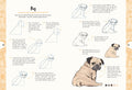 10 Step Drawing: Dogs: Draw over 50 delightful dogs in 10 easy steps - MPHOnline.com