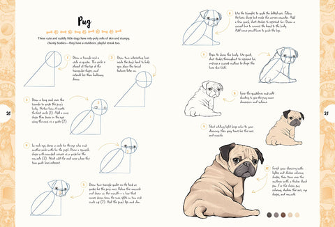 10 Step Drawing: Dogs: Draw over 50 delightful dogs in 10 easy steps - MPHOnline.com