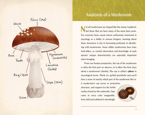 This Is a Book for People Who Love Mushrooms - MPHOnline.com