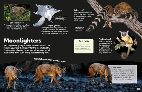 DK Eyewonder: Mammals - MPHOnline.com