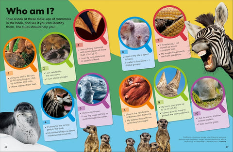 DK Eyewonder: Mammals - MPHOnline.com