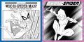 How to Draw (With Easel): Marvel Spider-Man - MPHOnline.com