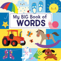 My Big Book Of Words - MPHOnline.com