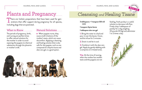 Wellness for Dogs - A Guide for Health, Hygiene, and Happiness - MPHOnline.com