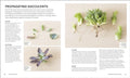 Succulents - Everything You Need to Select, Pair and Care for Succulents (Green Thumb Guides) - MPHOnline.com