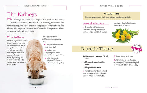 Wellness for Dogs - A Guide for Health, Hygiene, and Happiness - MPHOnline.com