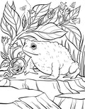 Practical Magic: The Motion Picture: The Official Coloring Book - MPHOnline.com
