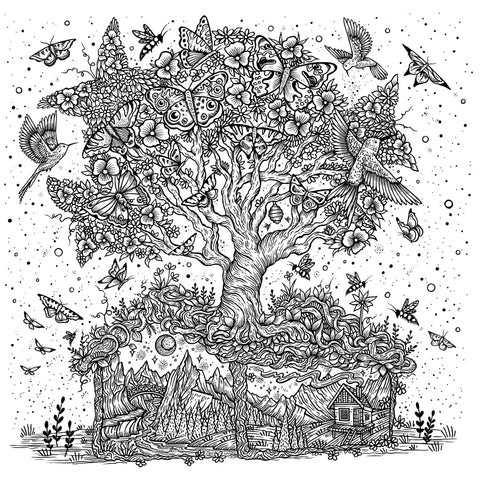 Enchanted Earth: A Colouring Journey Through Magical Landscapes - MPHOnline.com