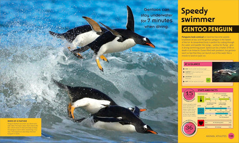 DK Super Nature 2E - MPHOnline.com