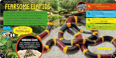 Amazing Snakes - MPHOnline.com