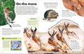 DK Eyewonder: Mammals - MPHOnline.com