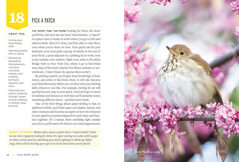 Find More Birds: 111 Surprising Ways to Spot Birds Wherever You Are - MPHOnline.com