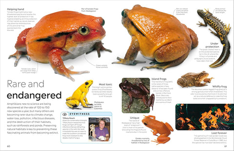 DK Eyewitness: Amphibian - MPHOnline.com